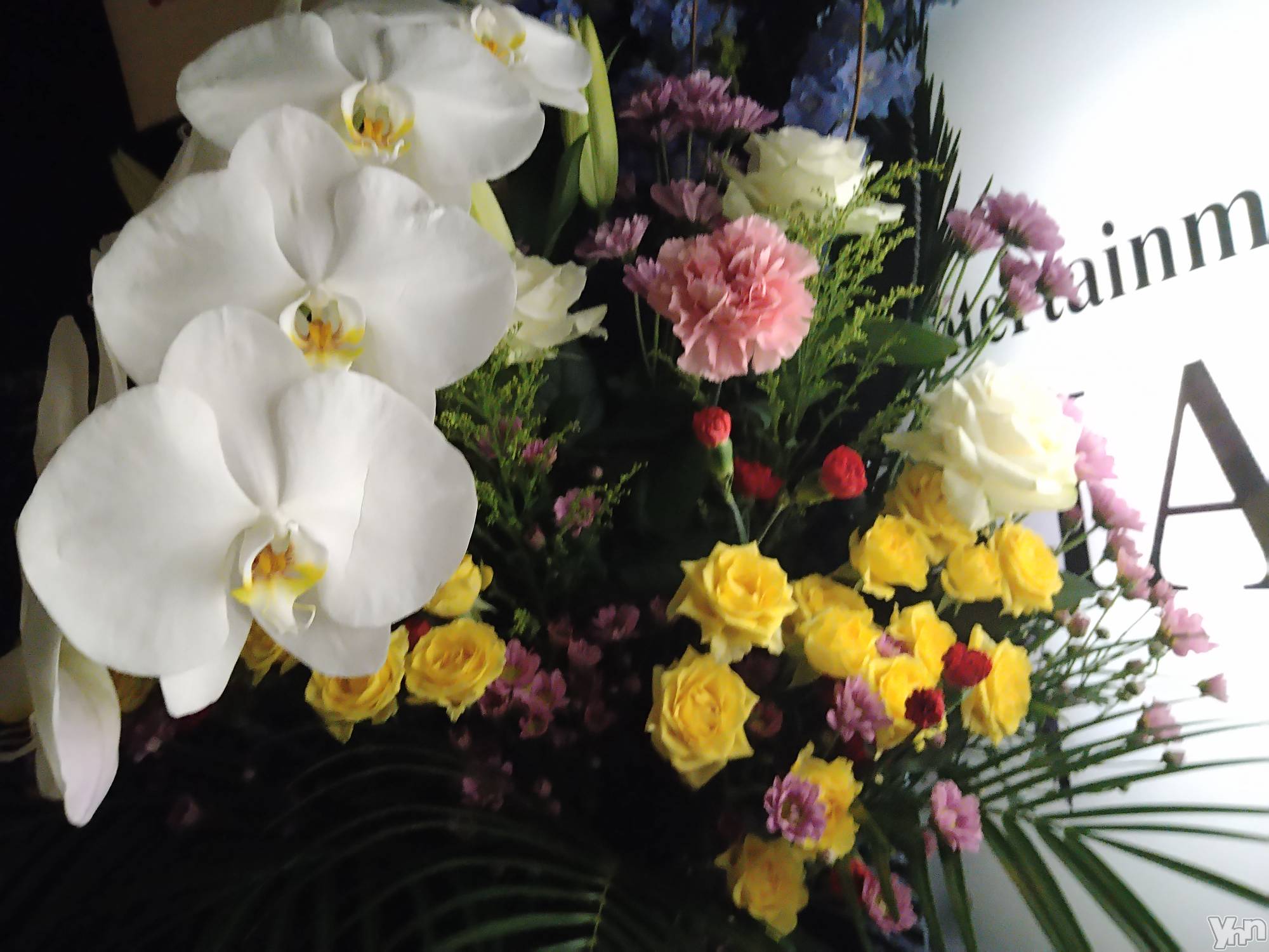 ���ܥ���Х��顦�����Entertainment Club HANA��BUSA(���󥿡��ƥ����ȥ���֡��ϥʥ֥�) ��2023ǯ6��10���̥�֥�����❤��