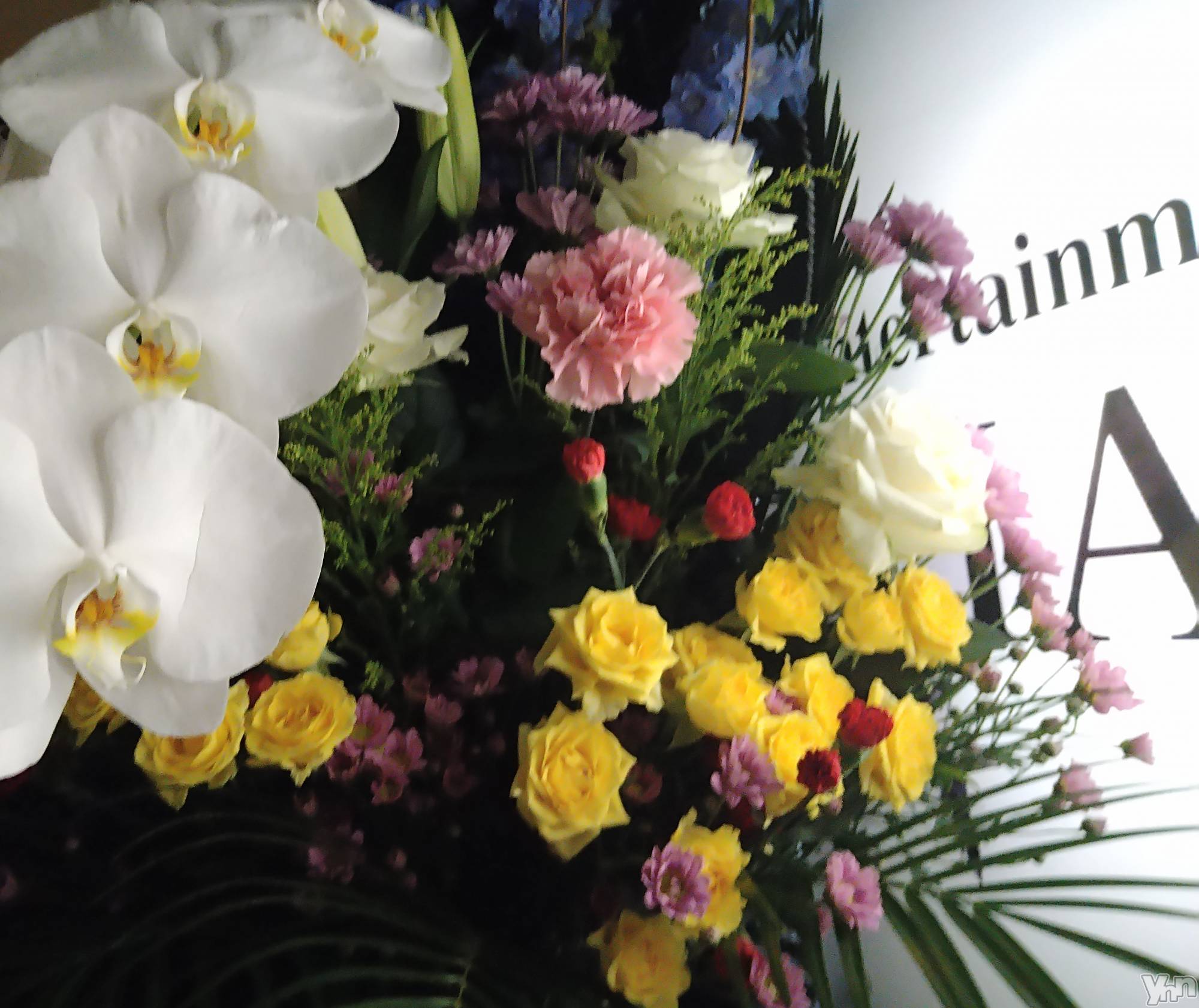 ���ܥ���Х��顦�����Entertainment Club HANA��BUSA(���󥿡��ƥ����ȥ���֡��ϥʥ֥�) ��2024ǯ10��9���̥�֥�����❤��