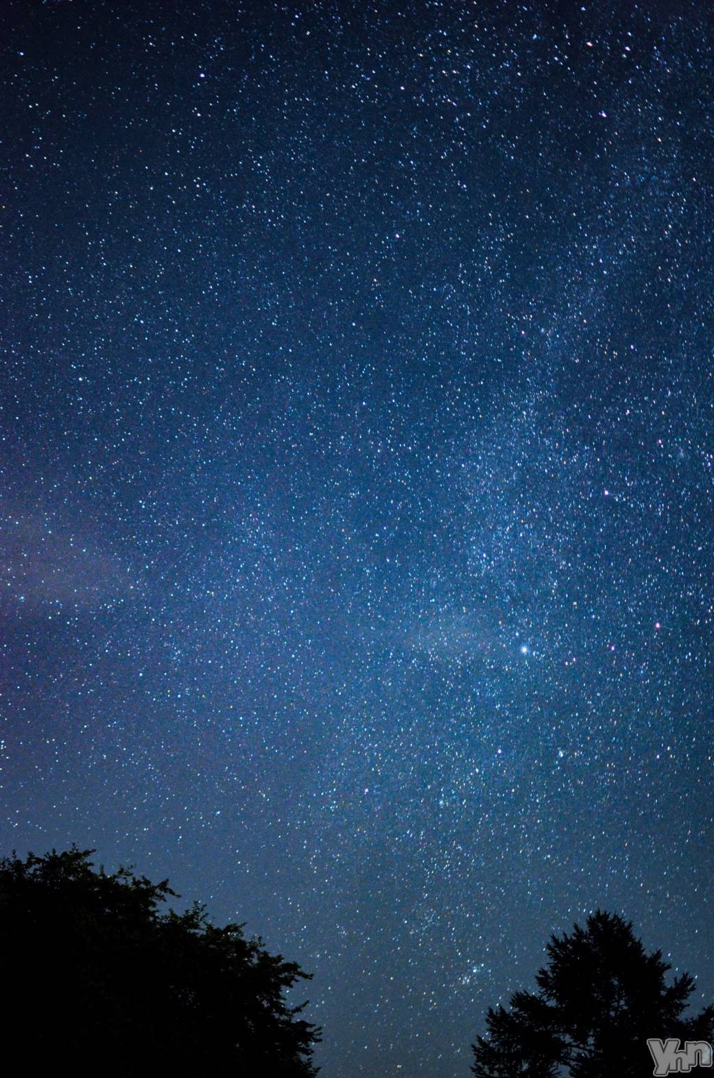 ���ܥ���Х��顦�����Entertainment Club HANA��BUSA(���󥿡��ƥ����ȥ���֡��ϥʥ֥�) ��2025ǯ8��13���̥�֥�����🌠��