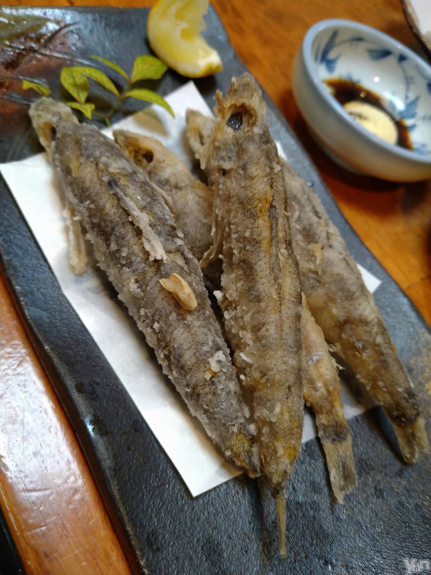 ���ܥ���Х��顦�����Entertainment Club HANA��BUSA(���󥿡��ƥ����ȥ���֡��ϥʥ֥�) ��2025ǯ9��26���̥�֥�����🤤��