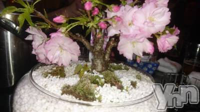 ���ܥ���Х��顦�����Entertainment Club HANA��BUSA(���󥿡��ƥ����ȥ���֡��ϥʥ֥�) ������4��6���̥�֥�����🌸��