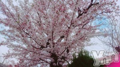 ���ܥ���Х��顦�����Entertainment Club HANA��BUSA(���󥿡��ƥ����ȥ���֡��ϥʥ֥�) ������4��13���̥�֥�����🌸��