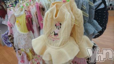 ���ܥ���Х��顦�����Entertainment Club HANA��BUSA(���󥿡��ƥ����ȥ���֡��ϥʥ֥�) ������9��26���̥�֥�����🐶��