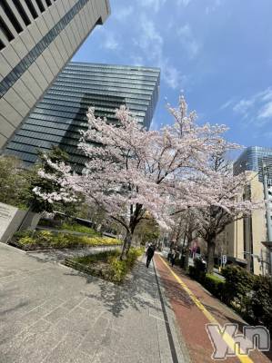 ���ܥ���Х��顦�����Entertainment Club HANA��BUSA(���󥿡��ƥ����ȥ���֡��ϥʥ֥�) ������4��1���̥�֥�����🌸��