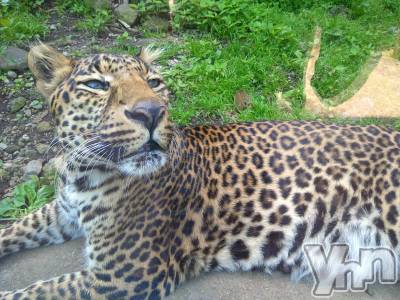 ���ܥ���Х��顦�����Entertainment Club HANA��BUSA(���󥿡��ƥ����ȥ���֡��ϥʥ֥�) ������6��15���̥�֥�����🐆❤��