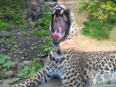 ���ܥ���Х��顦�����Entertainment Club HANA��BUSA(���󥿡��ƥ����ȥ���֡��ϥʥ֥�) ������6��16���̥�֥�����📸💥��