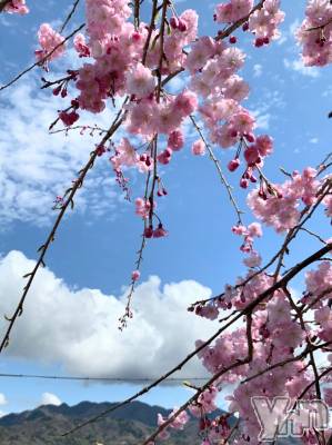 ���ܥ���Х��顦�����Entertainment Club HANA��BUSA(���󥿡��ƥ����ȥ���֡��ϥʥ֥�) ������3��23���̥�֥�����🌸��