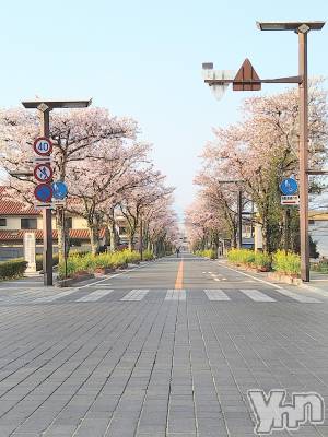 ���ܥ���Х��顦�����Entertainment Club HANA��BUSA(���󥿡��ƥ����ȥ���֡��ϥʥ֥�) ������4��5���̥�֥�����🌸��