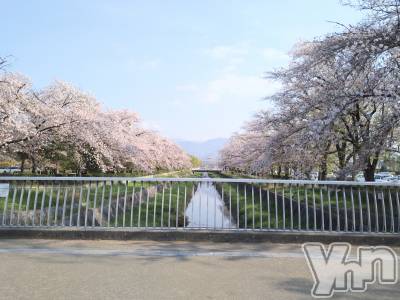 ���ܥ���Х��顦�����Entertainment Club HANA��BUSA(���󥿡��ƥ����ȥ���֡��ϥʥ֥�) ������4��7���̥�֥�����🌸��