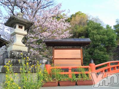 ���ܥ���Х��顦�����Entertainment Club HANA��BUSA(���󥿡��ƥ����ȥ���֡��ϥʥ֥�) ������4��12���̥�֥�����🌸��