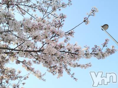 ���ܥ���Х��顦�����Entertainment Club HANA��BUSA(���󥿡��ƥ����ȥ���֡��ϥʥ֥�) ������4��15���̥�֥�����🤩��