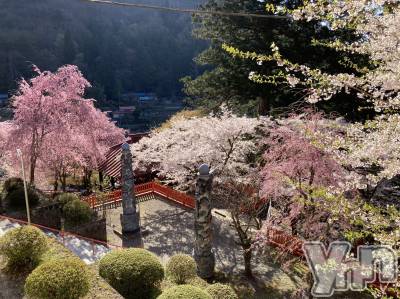 ���ܥ���Х��顦�����Entertainment Club HANA��BUSA(���󥿡��ƥ����ȥ���֡��ϥʥ֥�) ������4��20���̥�֥�����🌸��