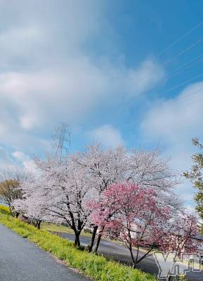 ���ܥ���Х��顦�����Entertainment Club HANA��BUSA(���󥿡��ƥ����ȥ���֡��ϥʥ֥�) ������4��26���̥�֥�����🌸��