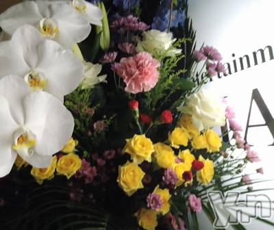 ���ܥ���Х��顦�����Entertainment Club HANA��BUSA(���󥿡��ƥ����ȥ���֡��ϥʥ֥�) ������10��9���̥�֥�����❤��