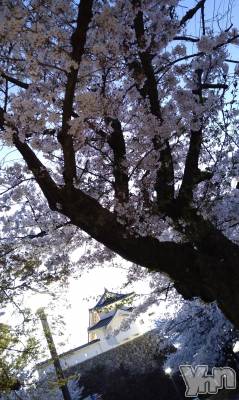 ���ܥ���Х��顦�����Entertainment Club HANA��BUSA(���󥿡��ƥ����ȥ���֡��ϥʥ֥�) ������4��9���̥�֥�����🌸��