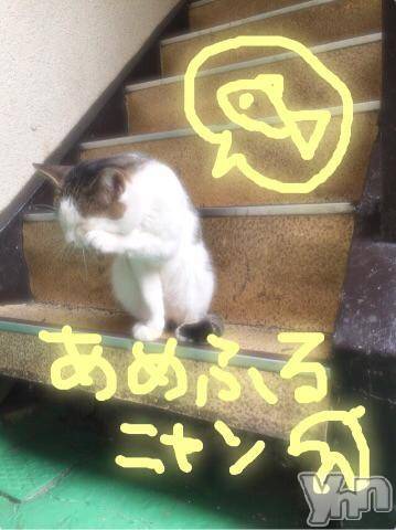 甲府ソープBARUBORA(バルボラ) こゆきの9月20日写メブログ「まねきねこ♡」