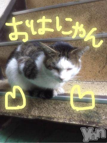 甲府ソープBARUBORA(バルボラ) こゆきの11月17日写メブログ「ご機嫌ななめにゃー」