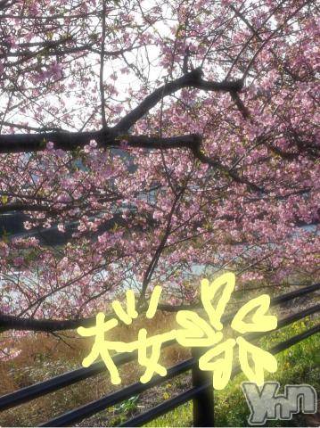 甲府ソープBARUBORA(バルボラ) こゆきの3月22日写メブログ「春休み～」