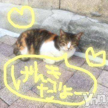 甲府ソープBARUBORA(バルボラ)こゆきの2019年9月7日写メブログ「突然ですが…」