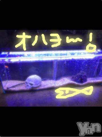 甲府ソープBARUBORA(バルボラ)こゆきの2019年10月26日写メブログ「お店の入り口」