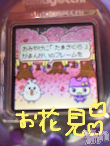 甲府ソープBARUBORA(バルボラ)こゆきの2023年4月1日写メブログ「エープリルフール！」