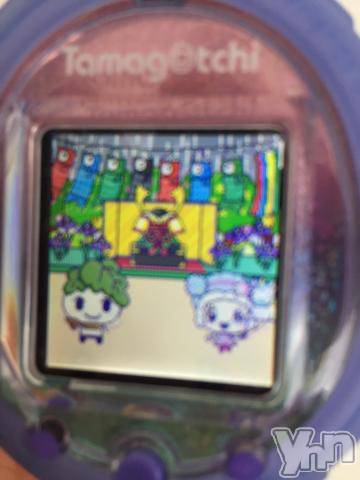 甲府ソープBARUBORA(バルボラ)こゆきの2023年5月3日写メブログ「ゴールデンウィーク☆」