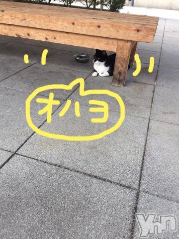 甲府ソープBARUBORA(バルボラ)こゆきの2024年9月1日写メブログ「あれ？」