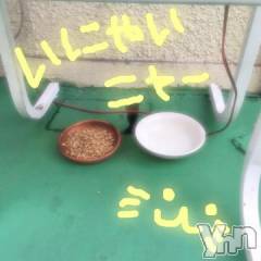 甲府ソープBARUBORA(バルボラ) こゆきの4月25日写メブログ「お留守でした(=^ェ^=)」