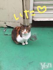 甲府ソープBARUBORA(バルボラ) こゆきの11月7日写メブログ「来月のこと」