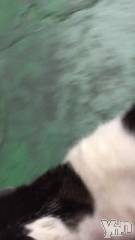 甲府ソープBARUBORA(バルボラ) こゆきの1月19日動画「しゃべっちゃった！」