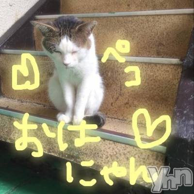 甲府ソープ BARUBORA(バルボラ) こゆき(ヒミツ)の7月22日写メブログ「にちよーび」