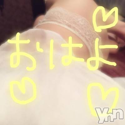 甲府ソープ BARUBORA(バルボラ) こゆき(ヒミツ)の9月2日写メブログ「朝はぶどう」