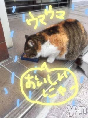 甲府ソープ BARUBORA(バルボラ) こゆき(ヒミツ)の3月4日写メブログ「おはよ♡起きたよー」