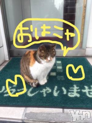 甲府ソープ BARUBORA(バルボラ) こゆき(ヒミツ)の2月21日写メブログ「結果はっぴょう」