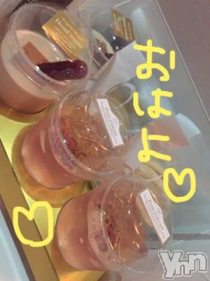 甲府ソープ BARUBORA(バルボラ) こゆき(ヒミツ)の3月31日写メブログ「平日出勤ですよーヽ(´▽｀)/」